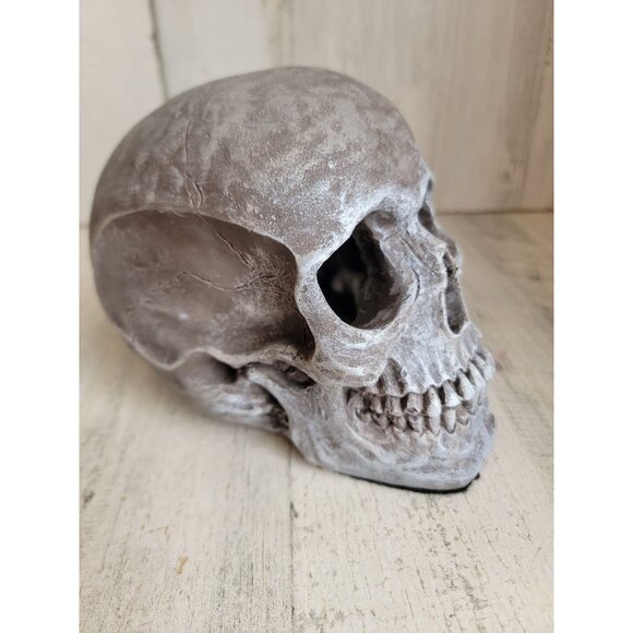 Unique Halloween sitting scary skull skeleton head prop home decor vintage - Picture 2 of 7